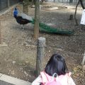 春休み～多摩動物園～