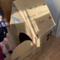 段ボールハウスを作ってみました😆